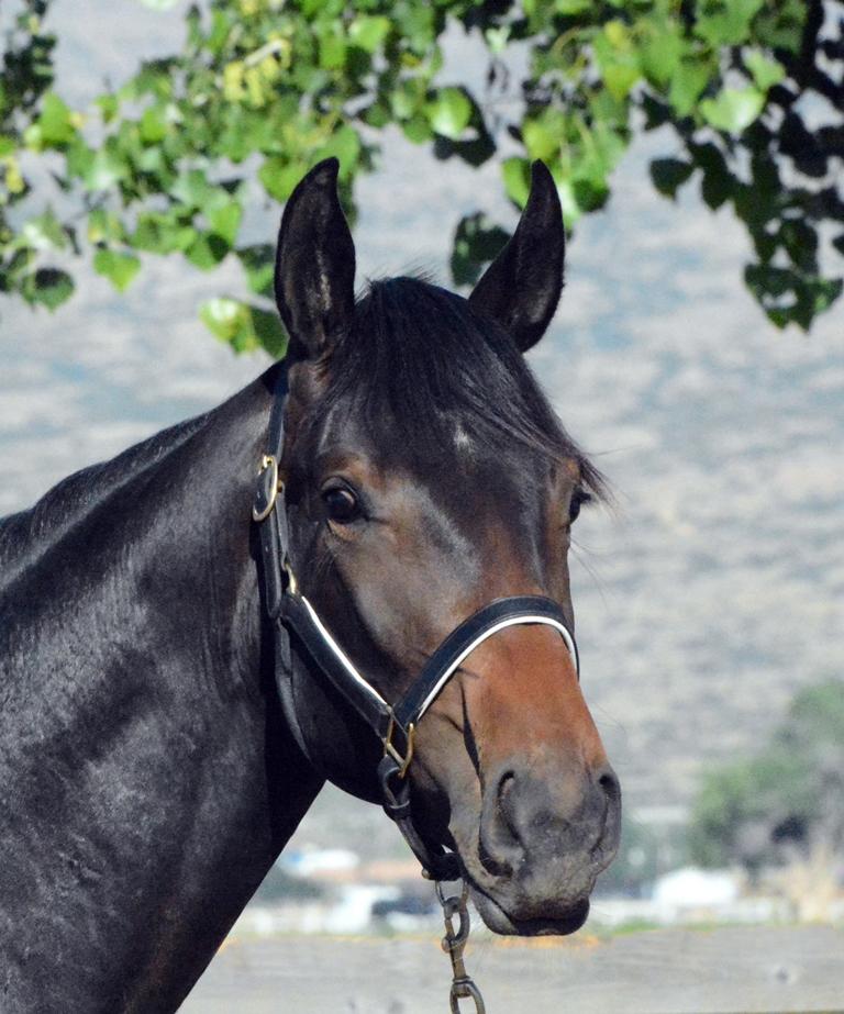 Pembroke Farm Dante Santos's Photo Gallery