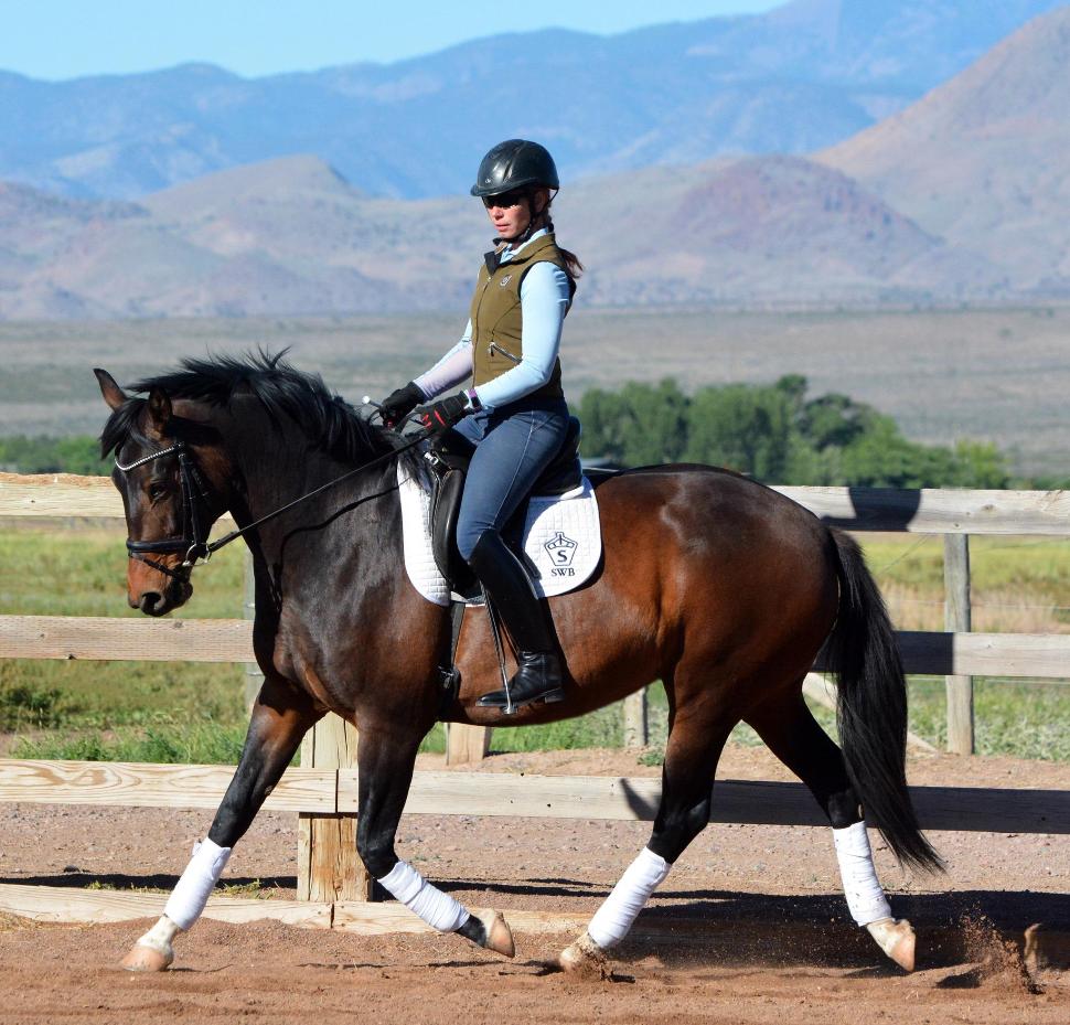 Pembroke Farm Patagonia 2016 SWB Mare